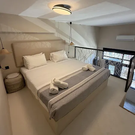 Stella's Loft In Center Of Appartement Tínos